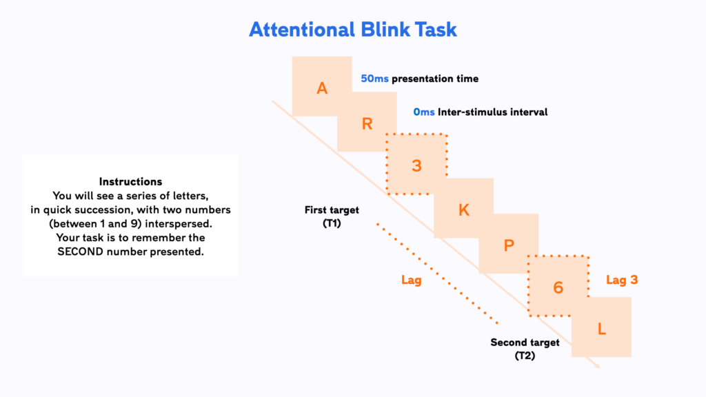 Illustration of stimulus flow and timings within one trial of the RSVP task